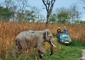 Ranthambore zone